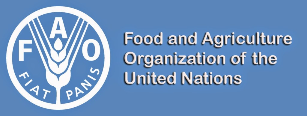 Food Security | FAO